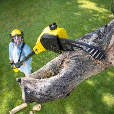 Best Lawn Watering Services  in Juarez, TX